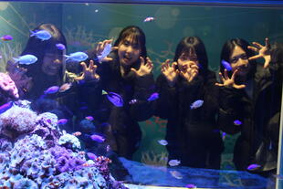 20250222_スタディーツアー　姫路城・姫路市立水族館 (56).JPG