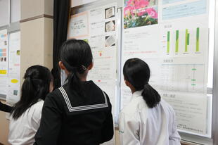 20251101_オープンスクール (422).JPG