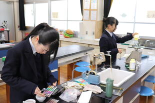 20260121_2年Safari (69).JPG