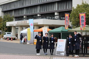 20260315_みっくすたんご！ (27).JPG