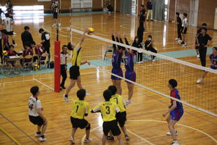 20240519_両丹総体（男子バレー） (28).JPG