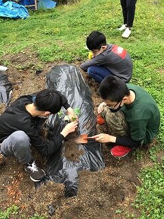 畑で作業している画像