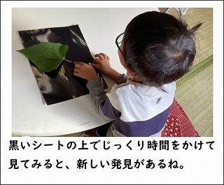 黒いシートの上でじっくり時間をかけて見てみると、新しい発見があるね。