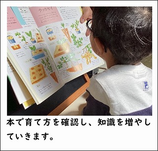 本で育て方を確認し、知識を増やしていきます。