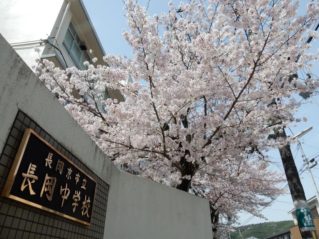 長岡京市立長岡中学校の評判と進学実績は？学区や部活動・最新実態を徹底解剖