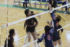 volleyball_girl_201702_8.jpg