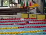 京都府中学校体育大会　水泳競技