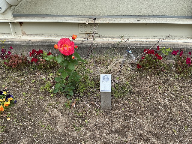 平和への願いを込めて 〜アンネのバラ〜