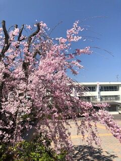 R4　4月　学校だより