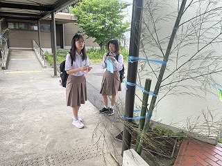 Ｒ８　生徒会七夕イベント