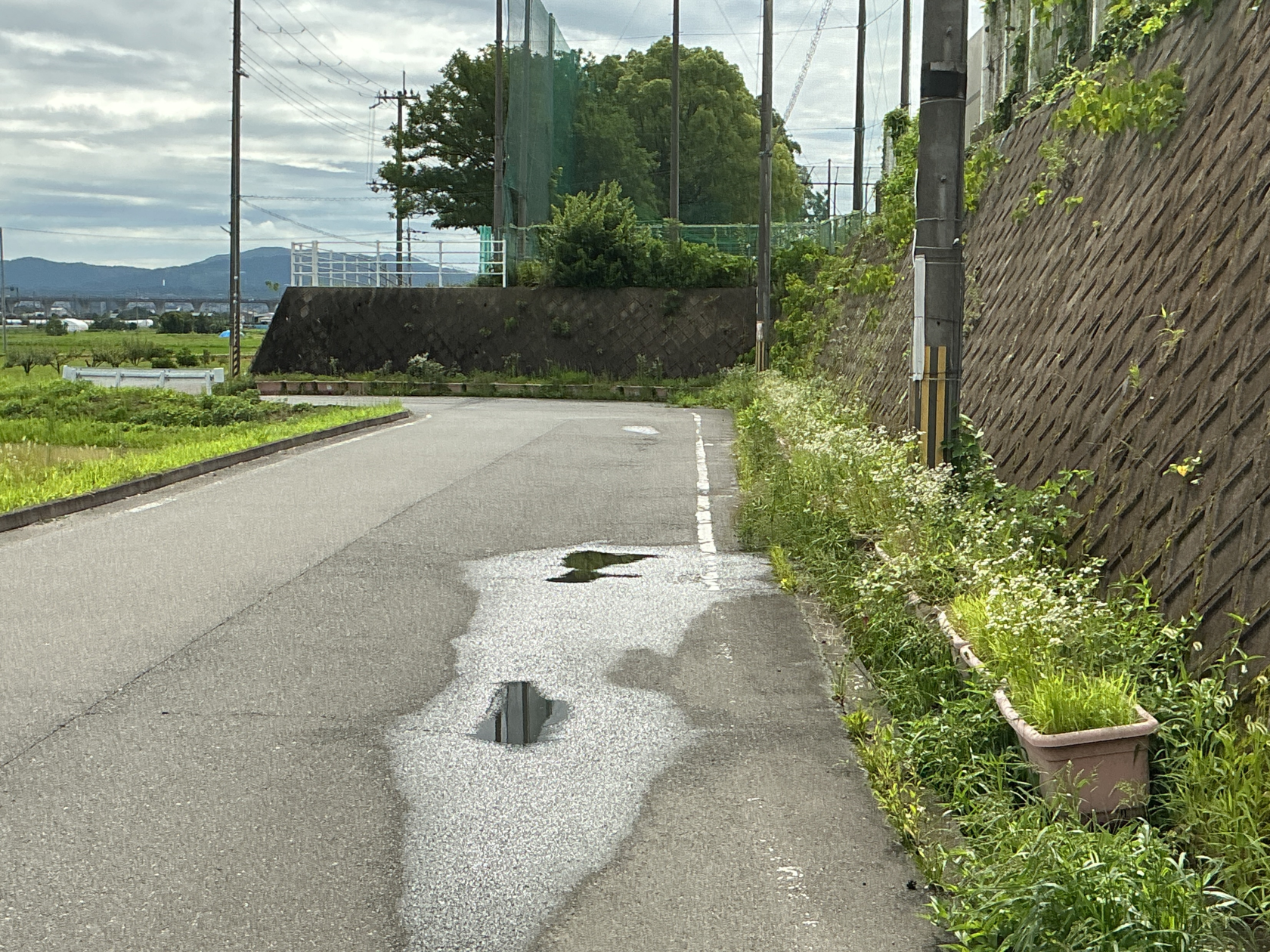 「プランター撤去作業」