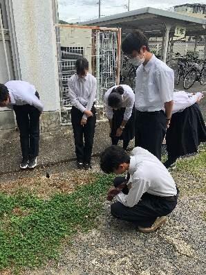 右側の画像