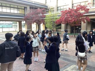 IMG_0812.jpeg