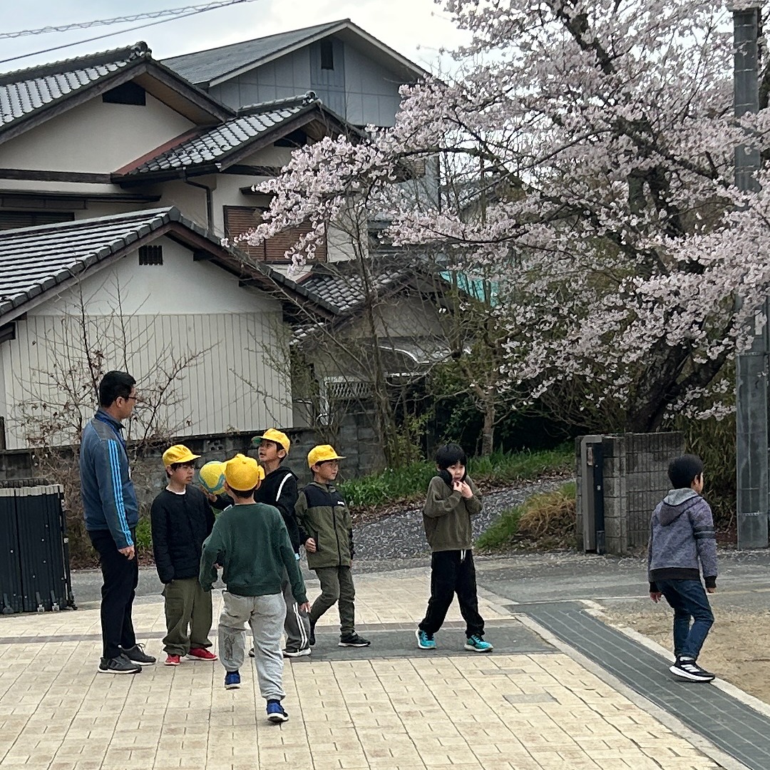 4/11 朝の様子