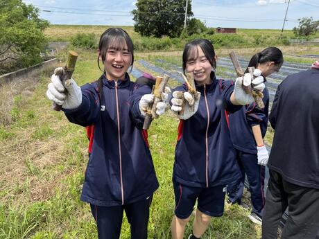 Pゼミ(商品開発ゼミ)わかば農園 農業体験!!