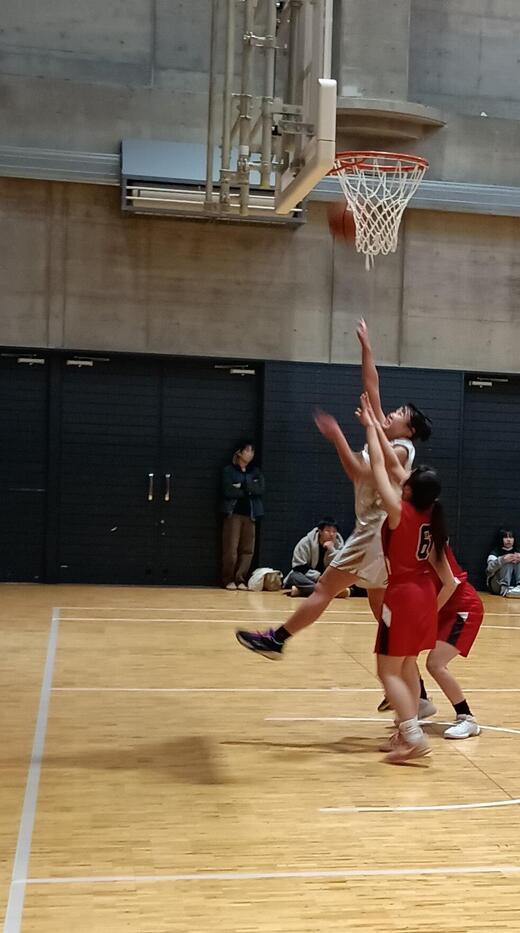basket260314_1.jpg