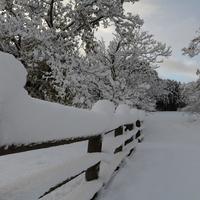 農場の雪景色