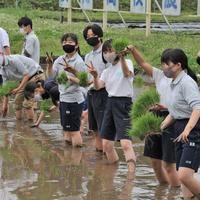 恒例の１年生田植え実習