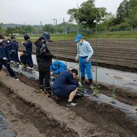 普通科と専門学科でコラボ