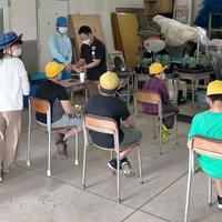 キクの栽培連携（下山小学校）