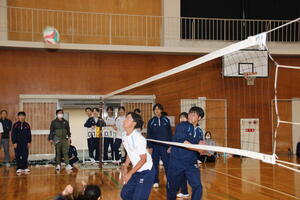 IMG_5.volley.JPG