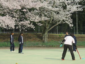 IMG_8445.JPG