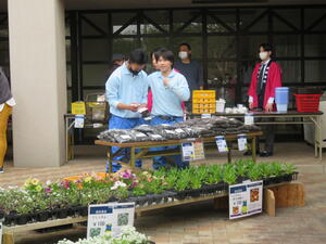 IMG_8808.JPG