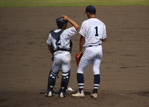 IMG_4battery.JPG
