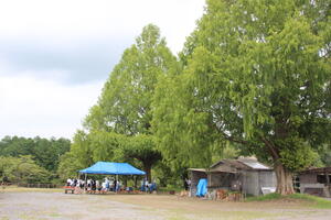 IMG_8663d.JPG
