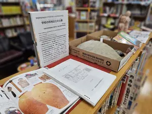 1728498861-bzGXeICBJU5Rk498O2ZTLVAo.webpのサムネイル画像