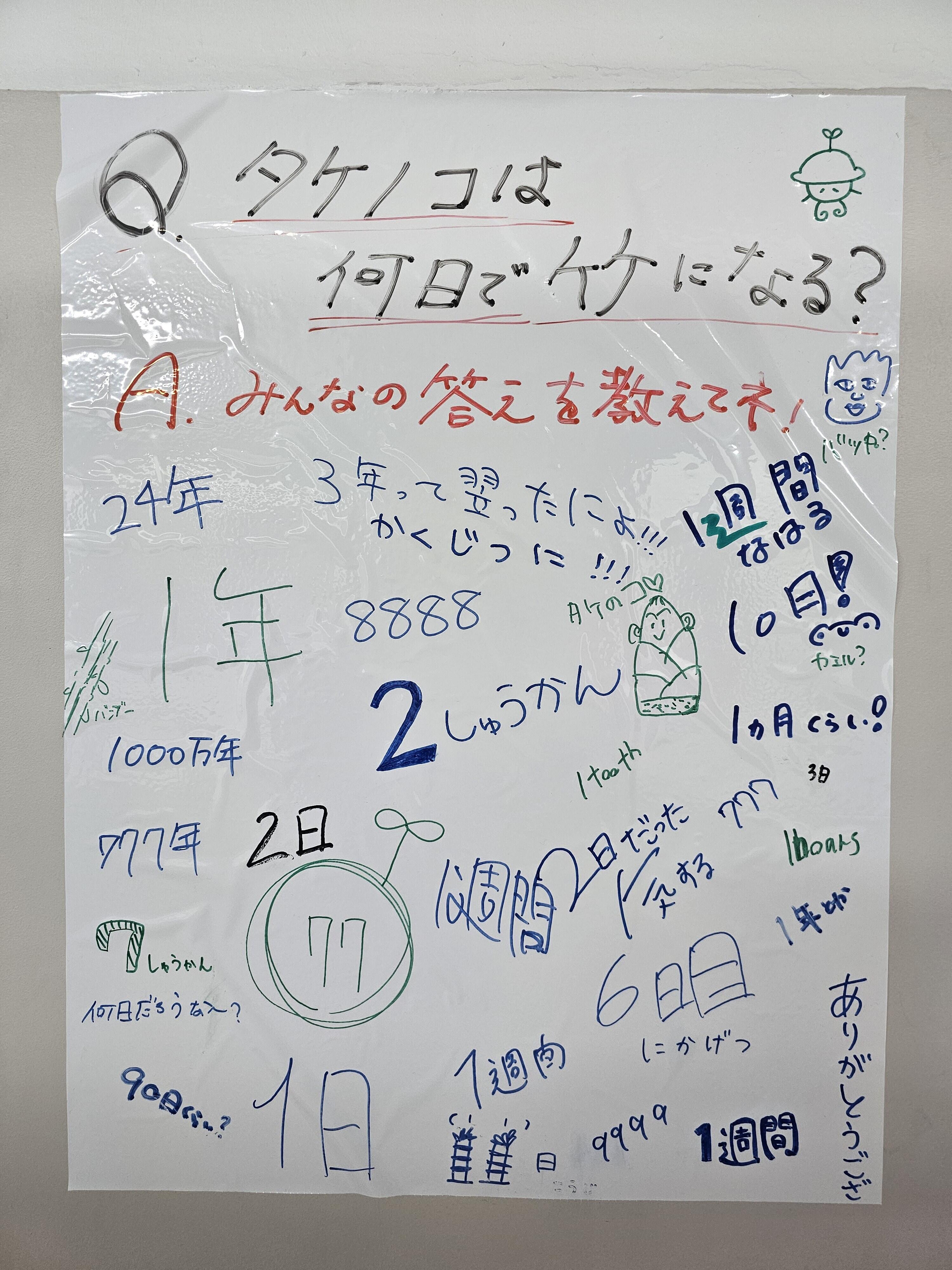 https://www.kyoto-be.ne.jp/tangoryokufuu-hs/mt/library-k/images/20240610_191554%20%281%29.jpg