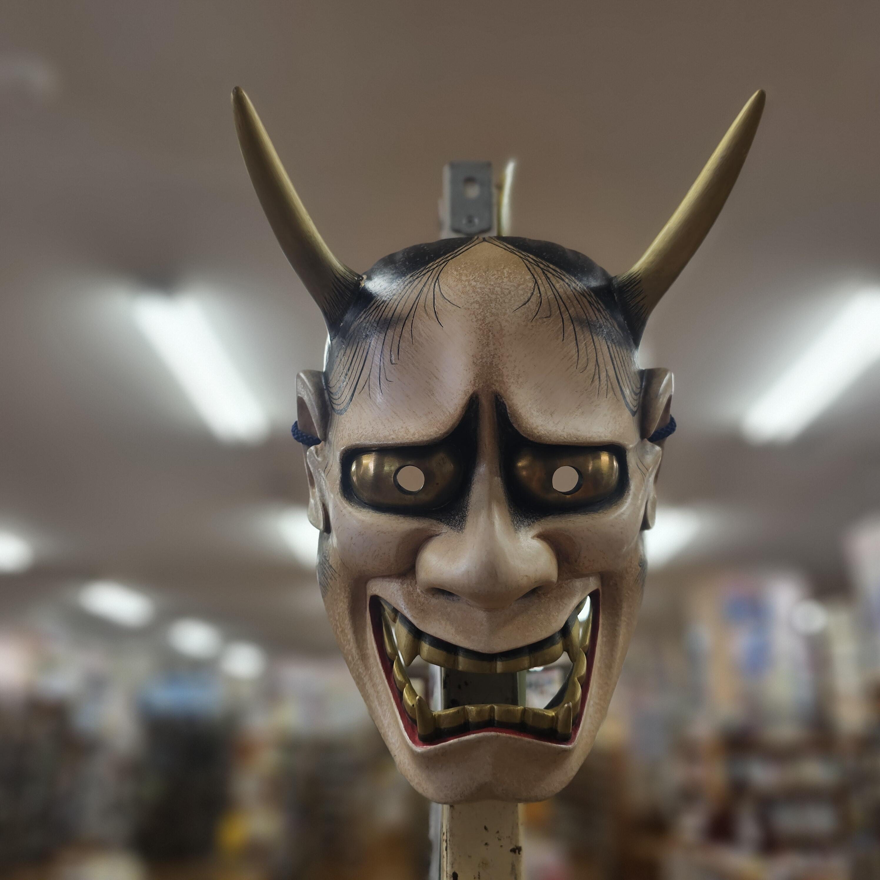 https://www.kyoto-be.ne.jp/tangoryokufuu-hs/mt/library-k/images/20250626_101706.jpg