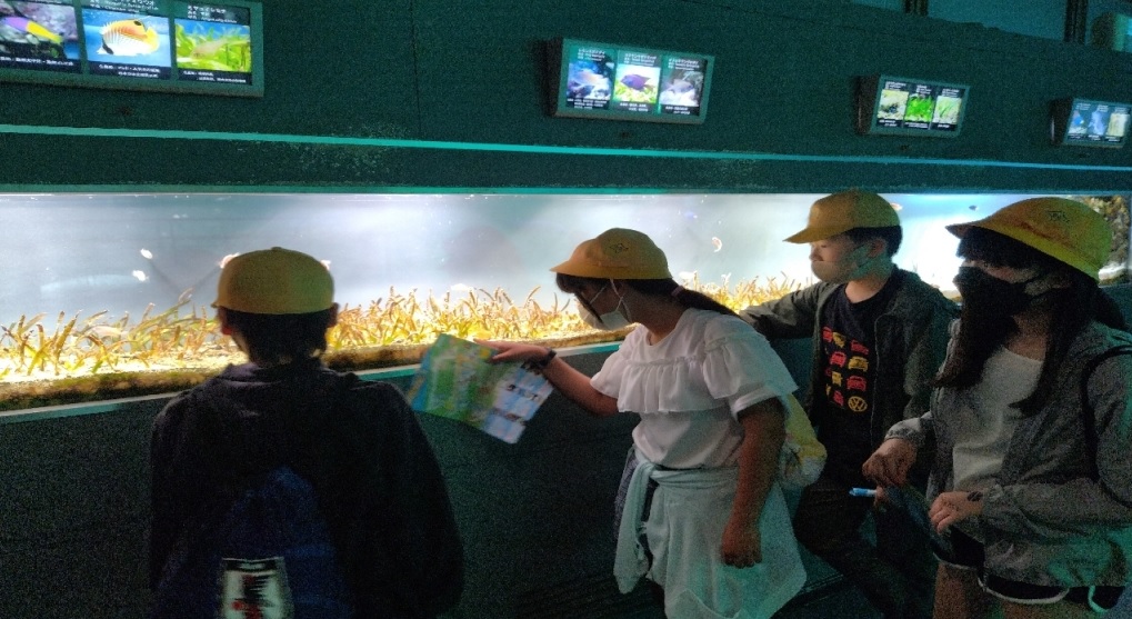 修学旅行１１鳥羽水族館