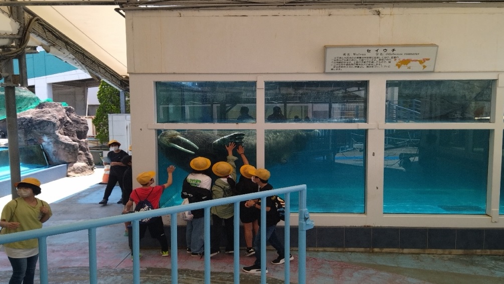 修学旅行１３鳥羽水族館