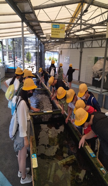 修学旅行１４鳥羽水族館