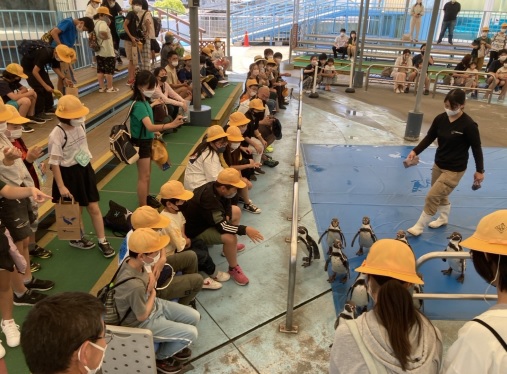 修学旅行１７鳥羽水族館