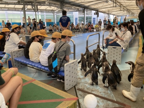 修学旅行　1日目⑥「鳥羽水族館④」