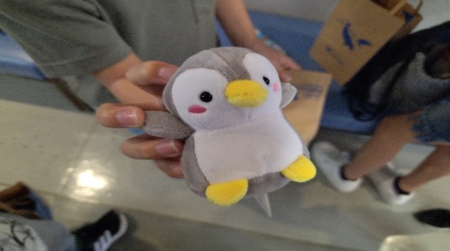 修学旅行１９鳥羽水族館