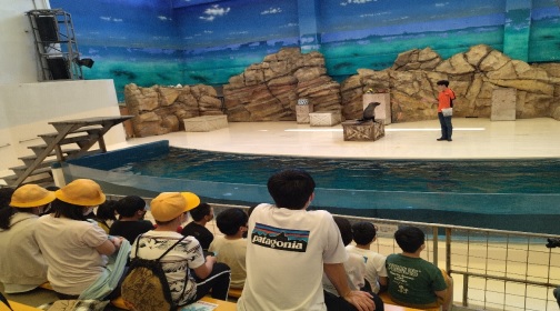 修学旅行２３鳥羽水族館