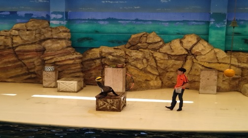 修学旅行24鳥羽水族館