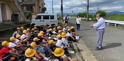 稲の観察１