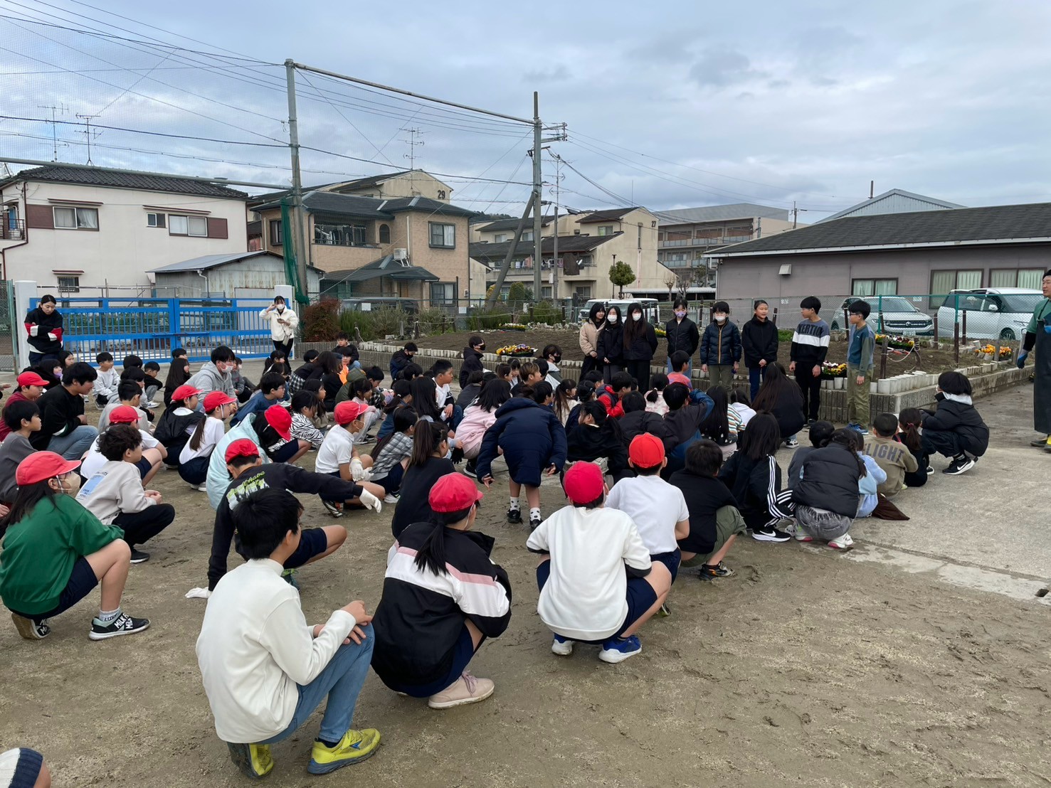 色班パンジー植え