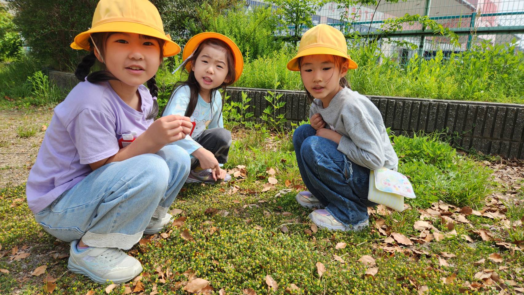 １年 公園めぐり