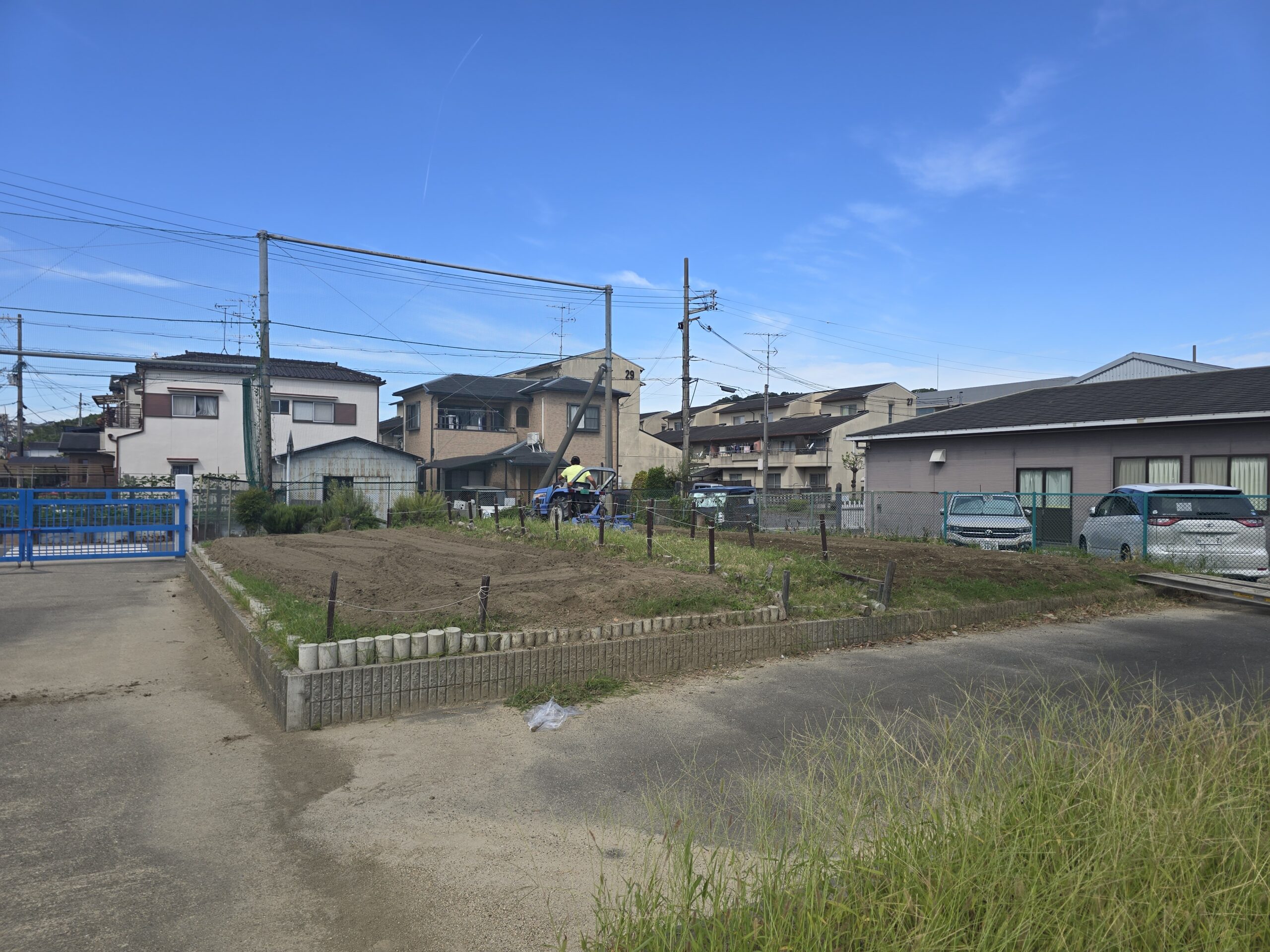 大根の種植え
