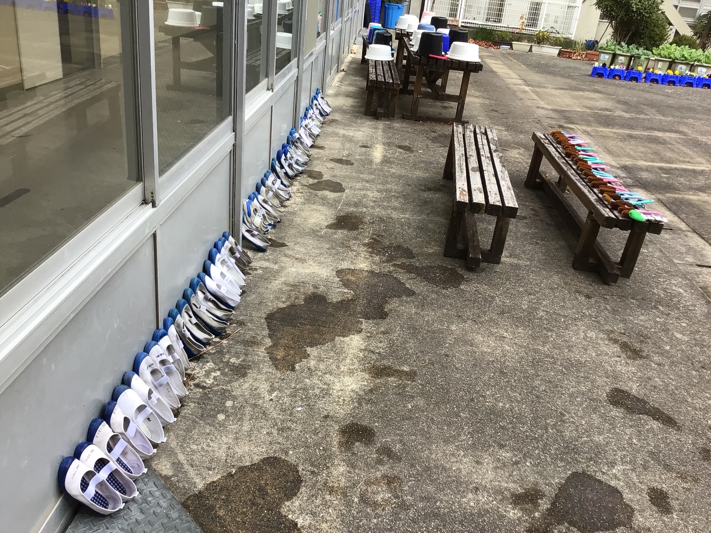 １年　生活｢くつあらい｣