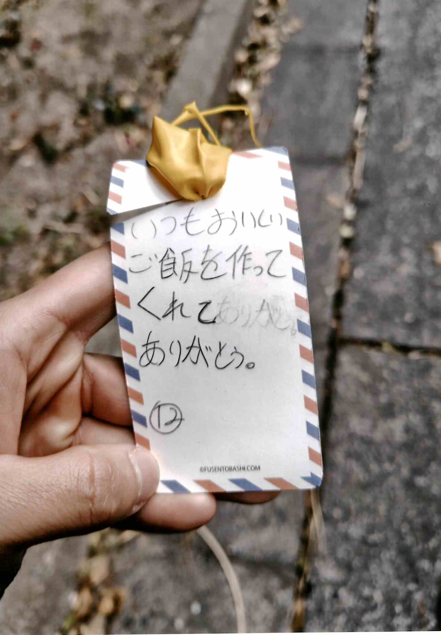 うれしい便り💌