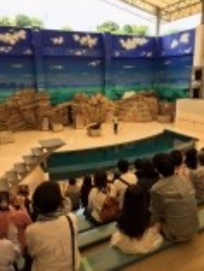 修学旅行６