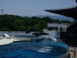 水族館