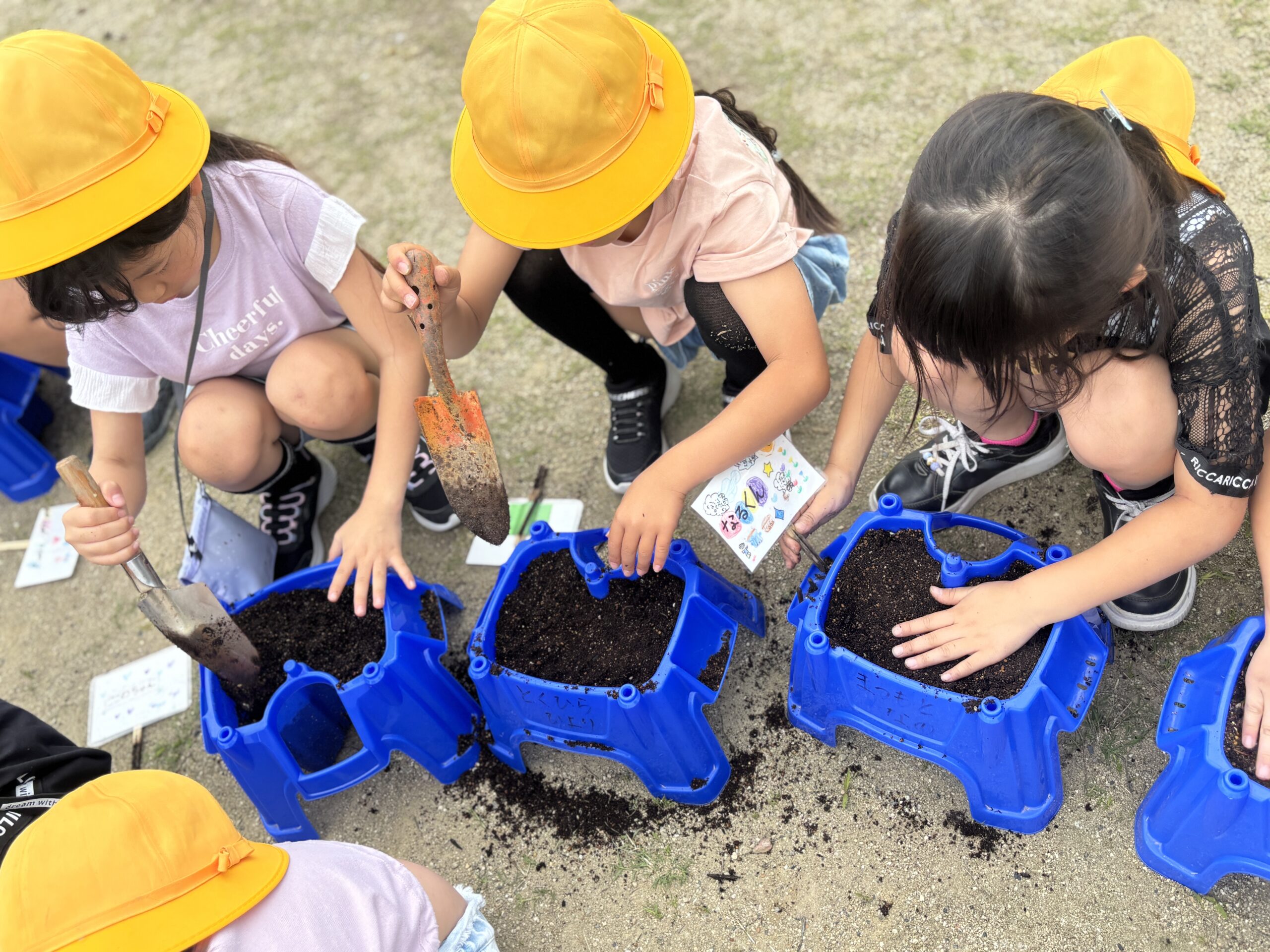 2年生　りりこ植え