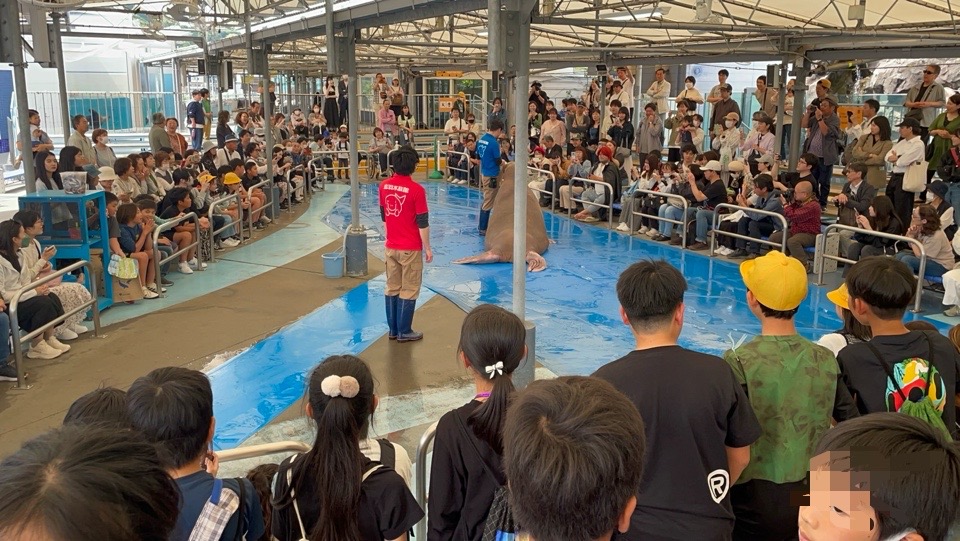 6年生　修学旅行⑦